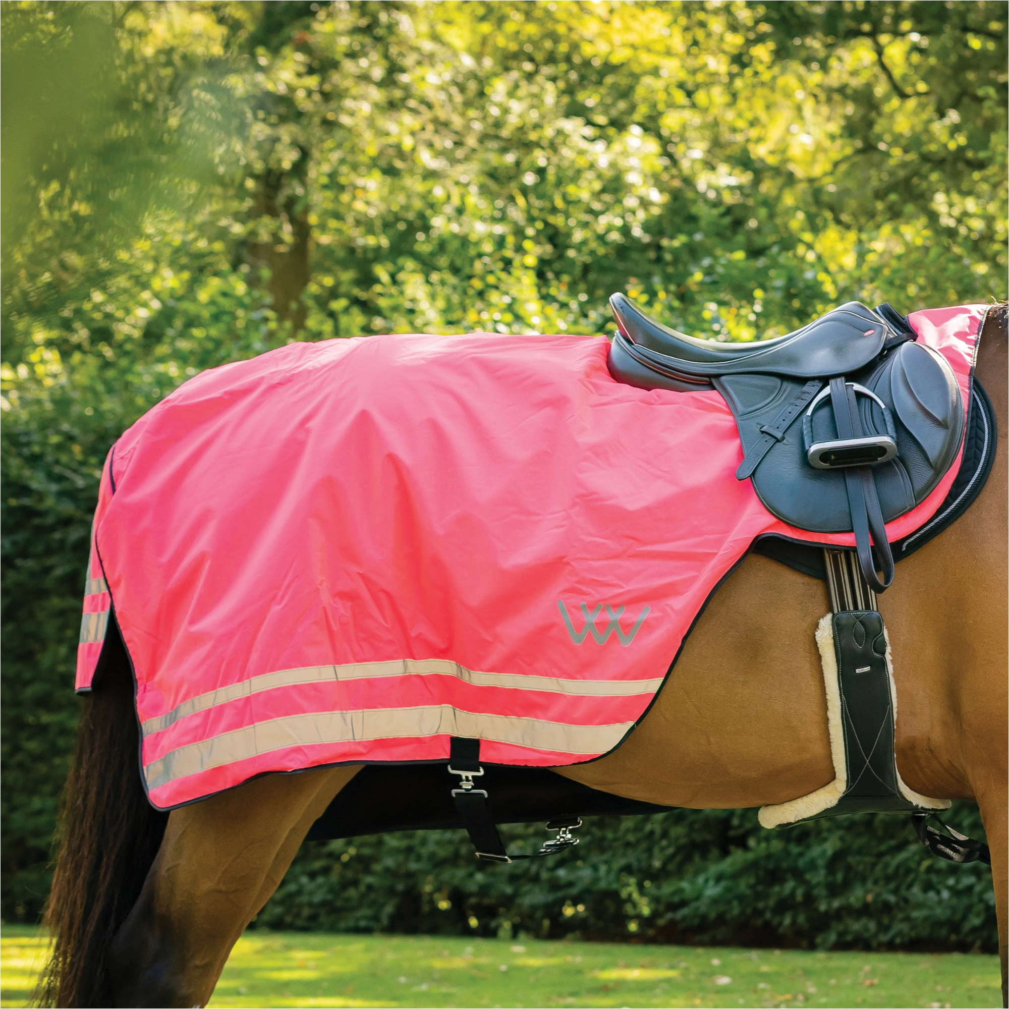 2026 Woof Wear Winter Hi Vis Exercise Sheet WS0033 - Hi Vis Pink